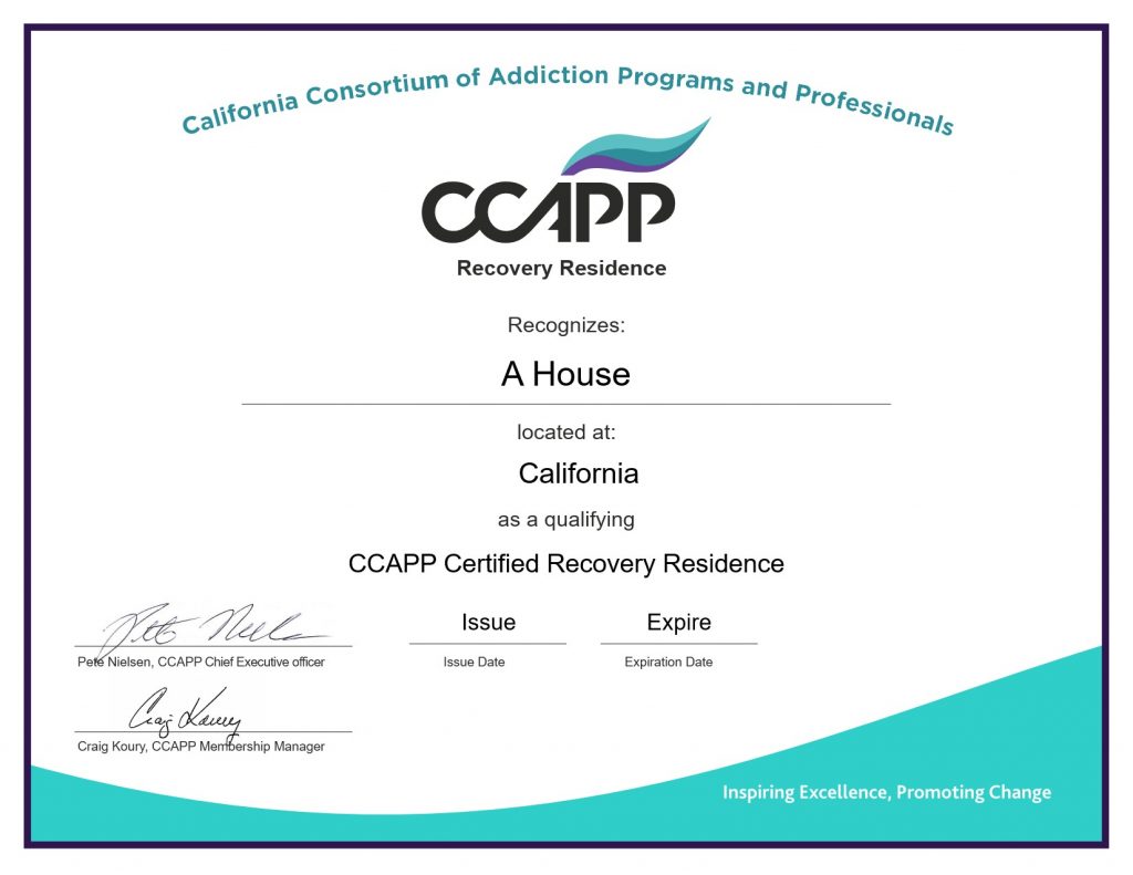 Ccapp Definition Certification And The Organization 